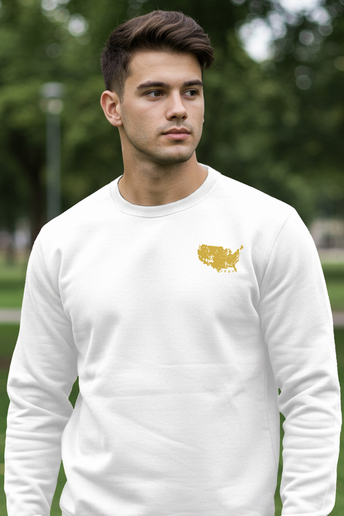 Allegiance Gold: Chill Sweatshirt