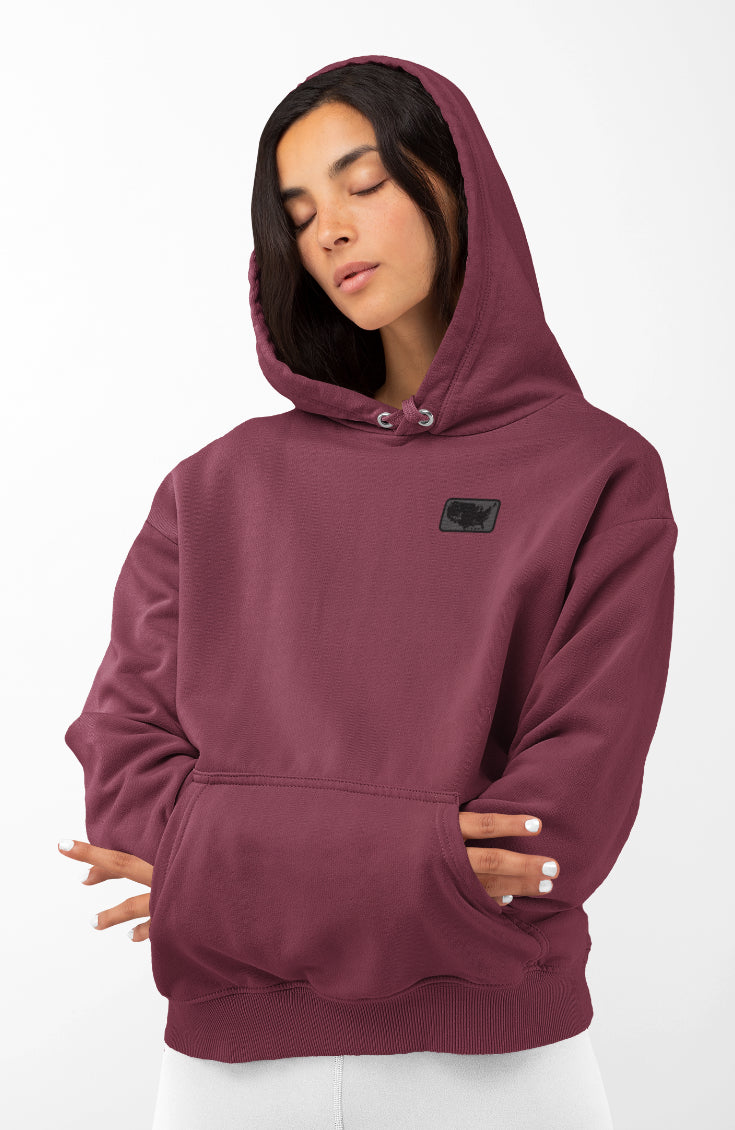 Dark Allegiance: Chill Hoodie